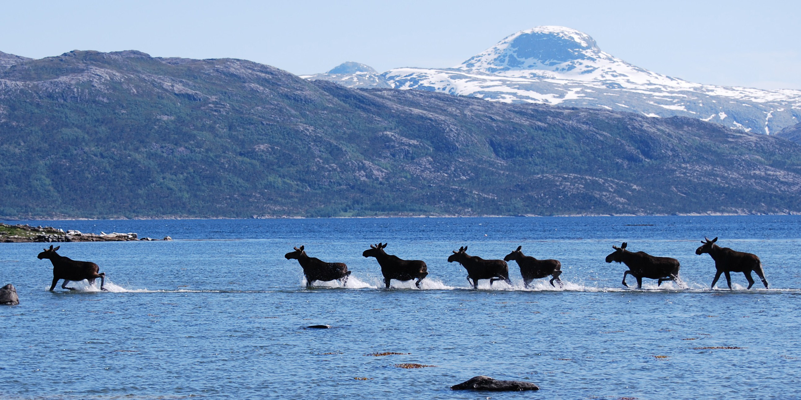 Foto: Gunnar Nilsen